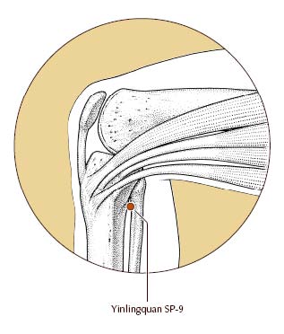 Jacksonville Acupuncture Therapy